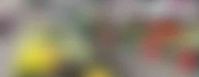 Farmers Market Quepos