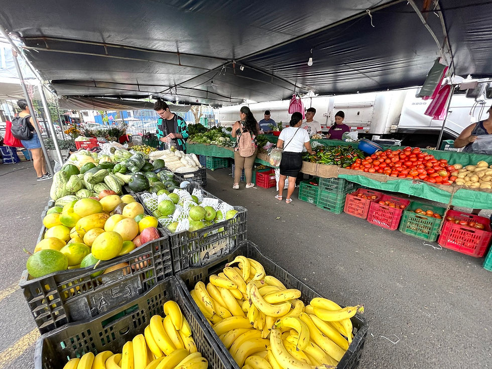 Quepos Farmers Market