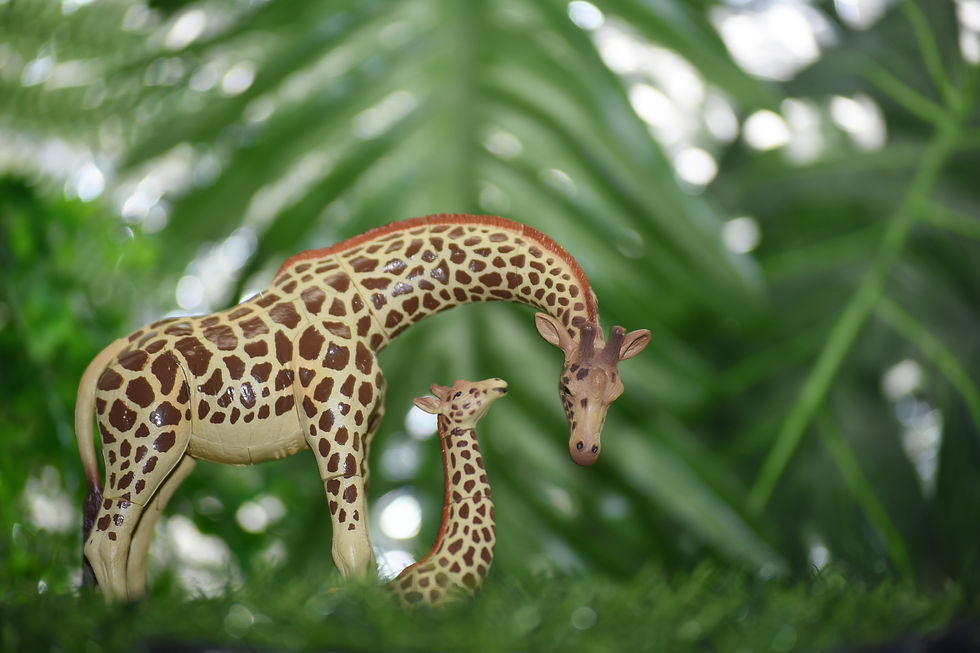 Thumbnail: 4D Animal Puzzle- Giraffe & Baby