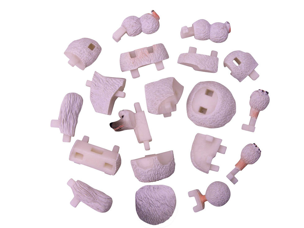 Thumbnail: Animal 4D Puzzle- Poodle
