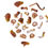 Thumbnail: Animal 4D Puzzle- Tiger
