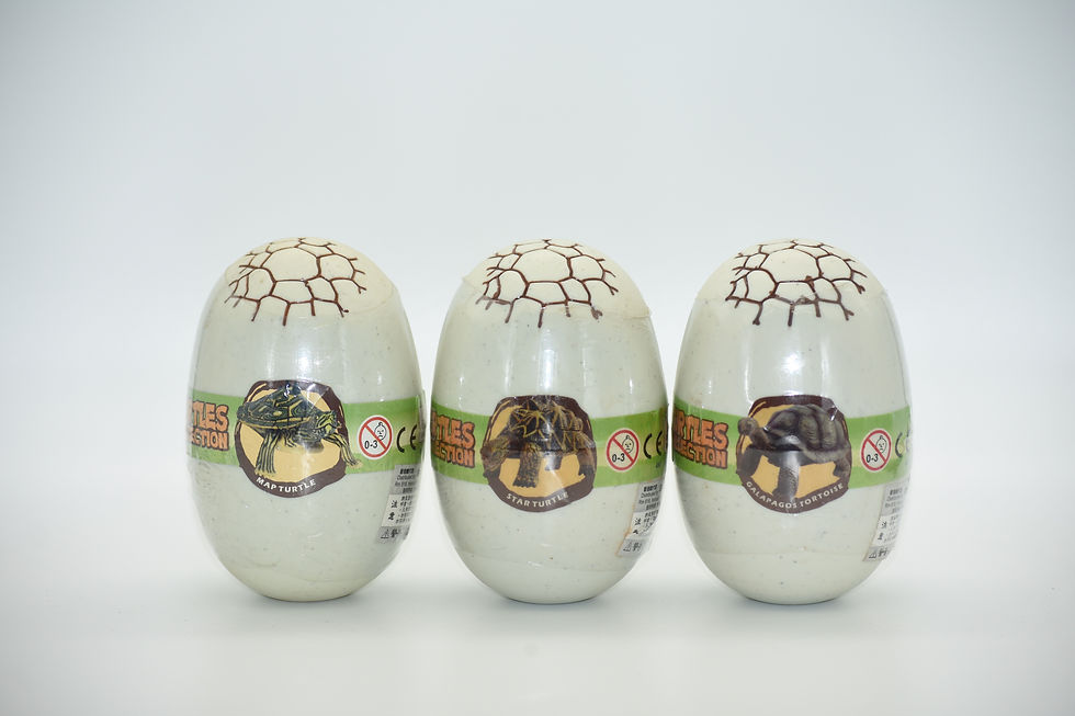 縮圖：4D動物拼圖 - 加拉巴哥象龜