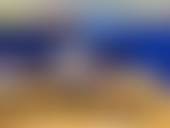 Christmas Show and Market