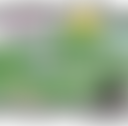 Lekking around in Perthshire and a new network built by women in the uplands, for women in the uplands