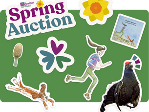 Lekking around in Perthshire and a new network built by women in the uplands, for women in the uplands