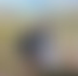 Heather Trust survey confirms need for new support network – Women's Upland Network