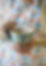 loli-clement-lVXdvblhKds-unsplash.jpg