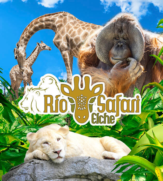 Rio Safari Elche