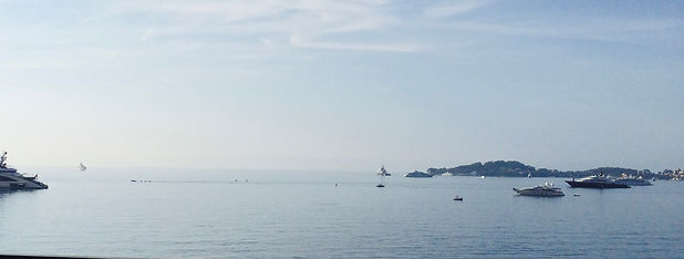 IMG_1476.jpg