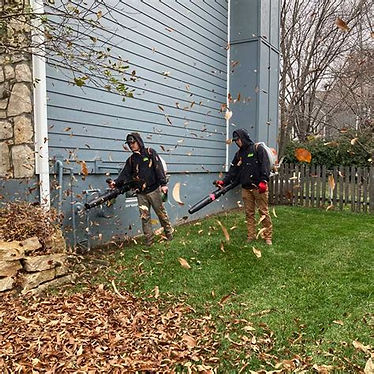 Leaf Blowing