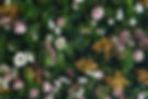 FlowerWallsVI-Penelope-7a.jpg
