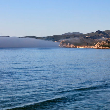 Finding a Psychiatric Provider in Santa Cruz: A June Guide to Medication Management