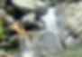 IMG_9037.JPEG