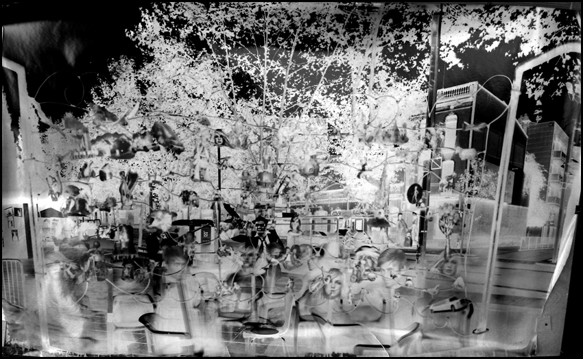 "LE JARDIN DES DÉLICES"