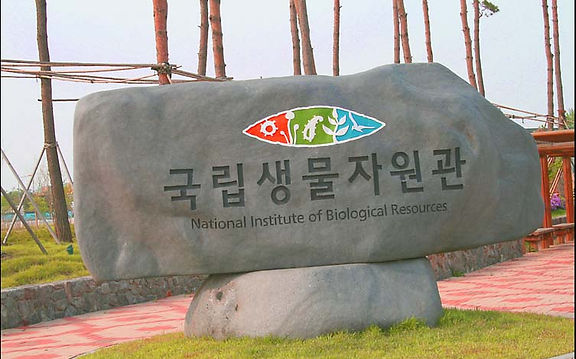 nibr_1.jpg