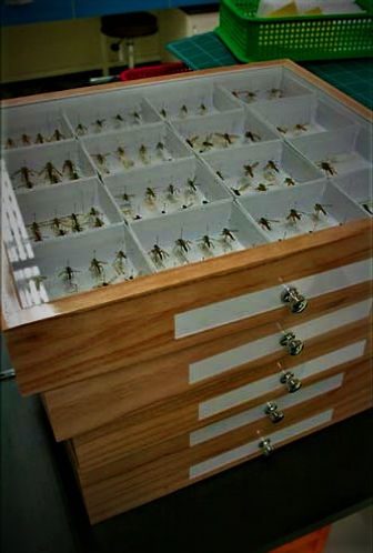 stacked_drawers.jpg