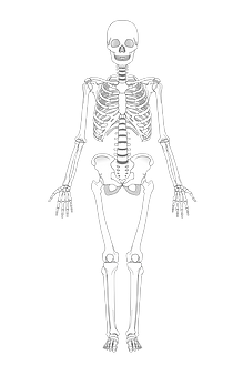 22656649.png