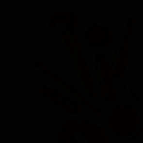 amy-shamblen-xwM61TPMlYk-unsplash_edited