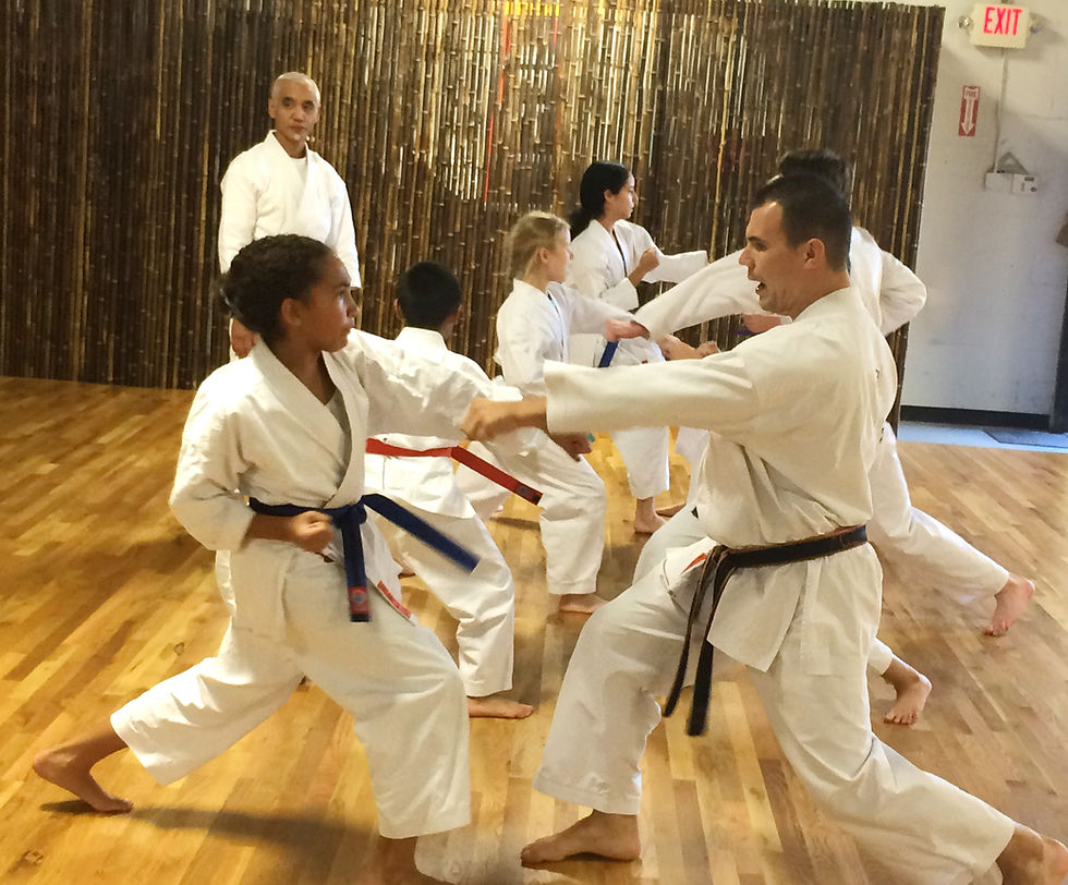 Jinsendo Shugyo Taikai Tournament - Kyu Levels