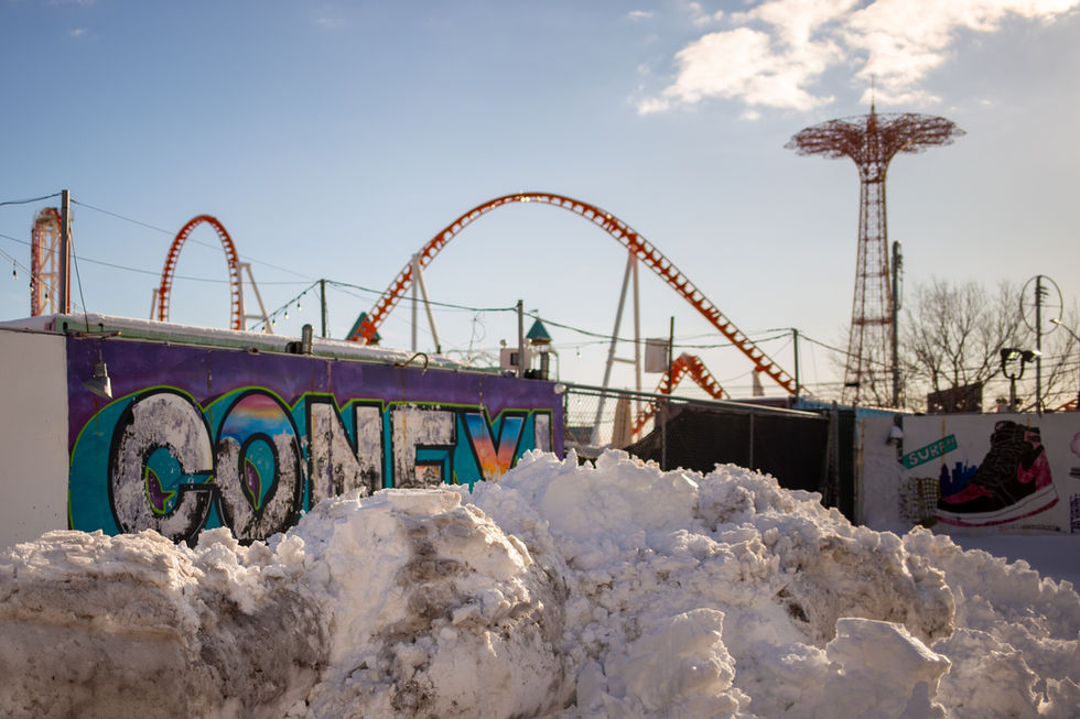 Coney Island in the Snow
