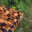 Thumbnail: Chaos 19x24" - READY TO SHIP!