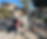 A dog walks the streets of Long Beach.
