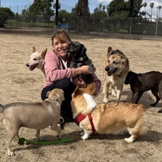 Long Beach pet sitter hugging a small black dog. Surrounded by five other dogs on sand in a park. Trees and fence in the background.