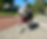 Dog with a red harness walks on a sunny sidewalk, tongue out joyfully. Background features trees, a house, and a car.