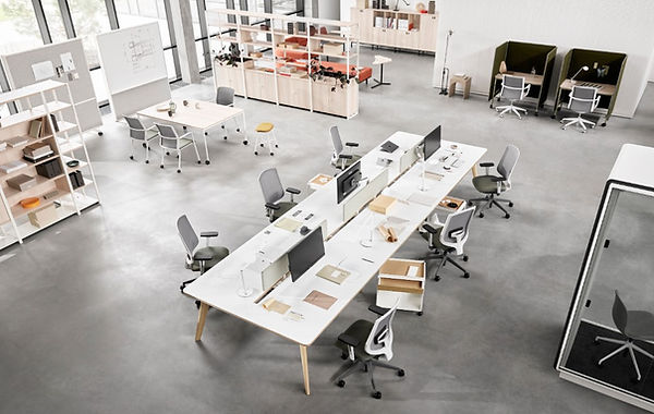 senator collaborate - media.jpg