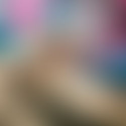 #1 Precaution When Owning A Bully Breed