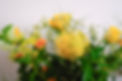 yellow 3.jpg