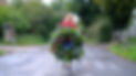 DSCF6585.JPG