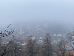 Die Ermordung des Sommers