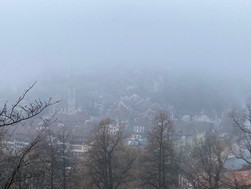 Die Ermordung des Sommers