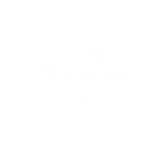 家居百货积分兑换春季电商零售营销活动竖版海报.png