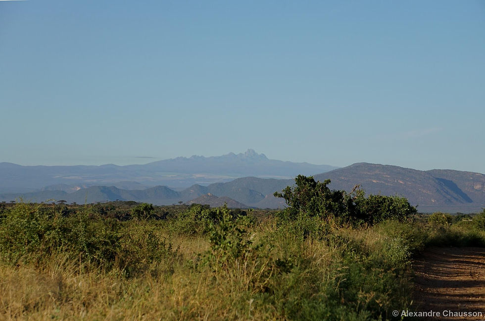 smallDSC07534.jpg