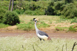 smallDSC06110.jpg