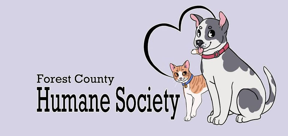 We will be adding a blog and sometimes a vlog to our website...