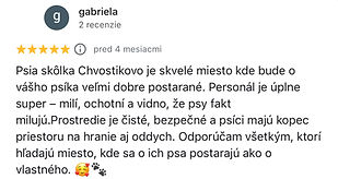 recenzia - škôlka pre psov Košice