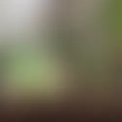 Sustainable Finance Innovation: The evolution of green bonds and sustainability-linked loans