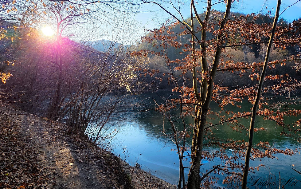 снимка: Диана Младенова