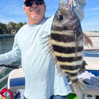 sheepshead fishing and how to catch sheepshead