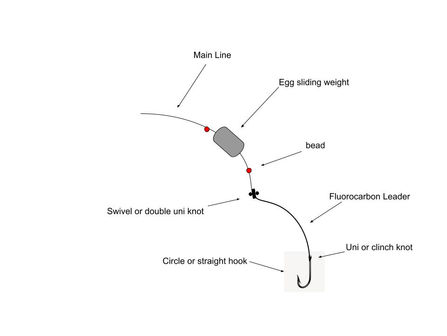Unlocking Success with the Carolina Rig: A Strategic Guide for Inshore Fishing