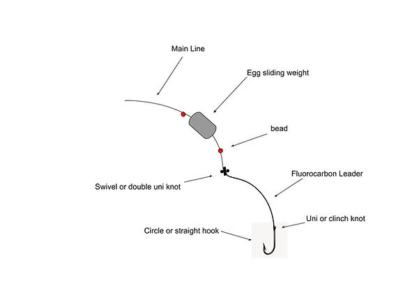 carolina hook and line fishing Unlocking Success with the Carolina Rig: A Strategic Guide for Inshore  Fishing
