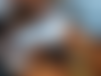 O Perigo da Inércia diante de uma Ação de Execução Bancária - O direito não socorre aos que dormem