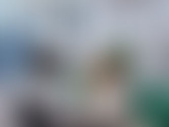 A Remarcação da Audiência de Conciliação como Estratégia Viável no Direito Bancário: Limites da Boa-Fé e a Importância da Atuação Profissional Especializada Introdução