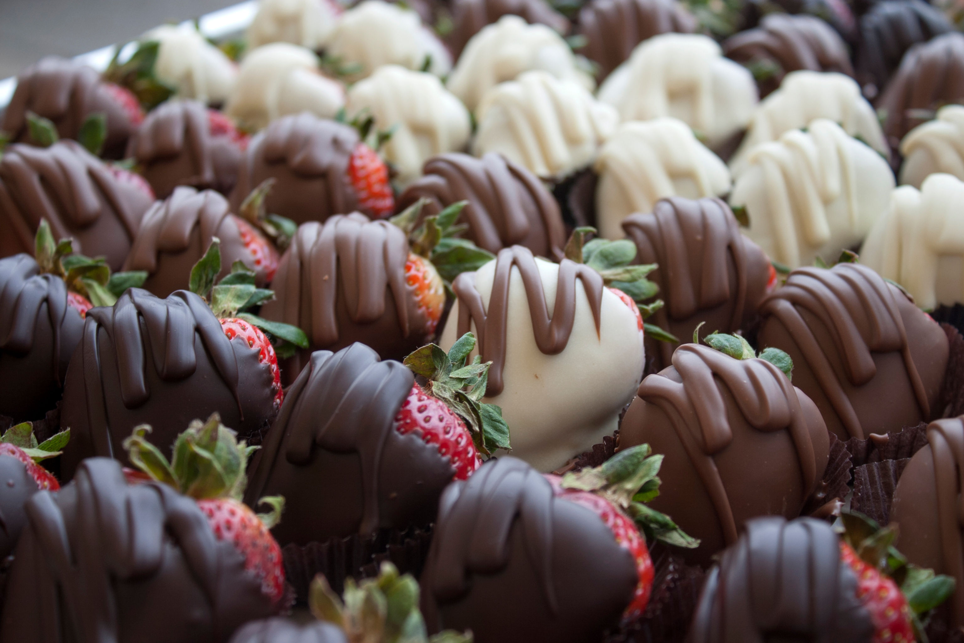 Chocolate Covered Strawberries