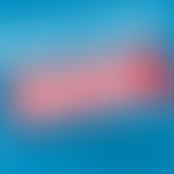 ECI Program Lunch & Learn