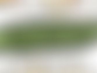 Junior Board Bingo Night