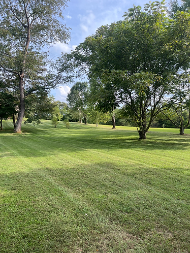 Yahwehs Yards 2.heic